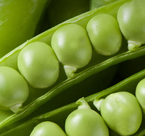 探索豌豆淀粉的新应用领域